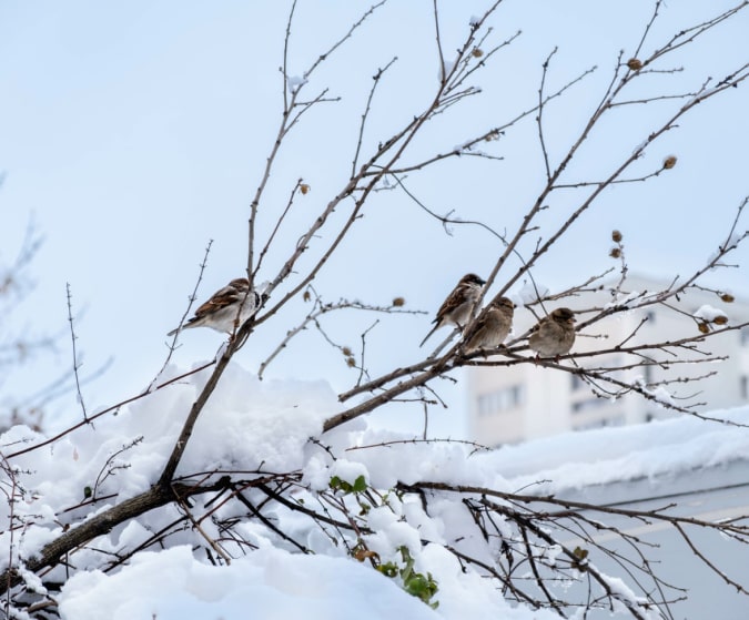 Marilyn Muir, New Earth Nurse, Health Coaching